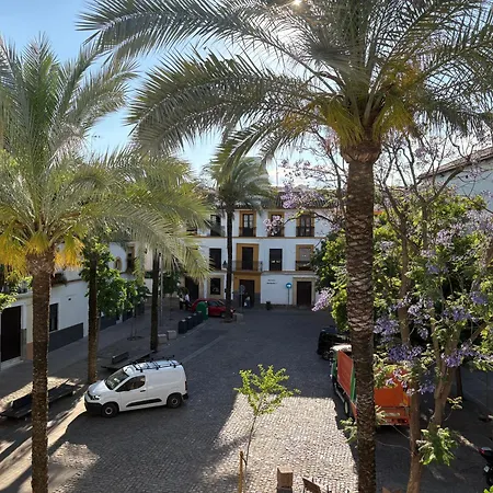 Calma Cordoba