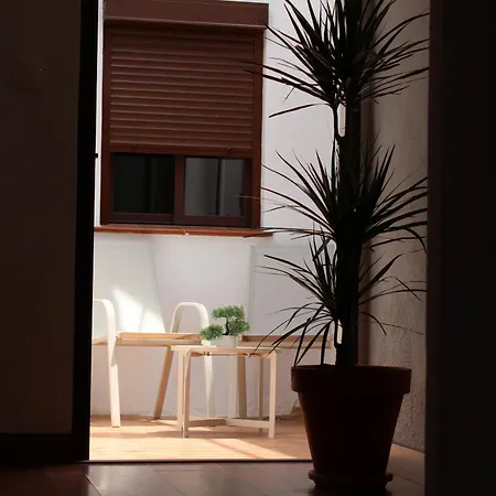 Apartment Calma *
