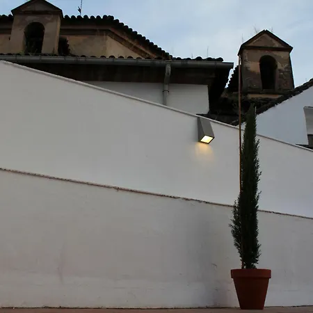 Apartment Calma